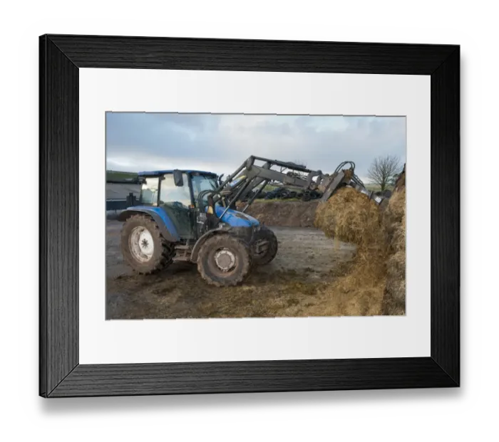 Framed Print : Tractor with loader and grab in silage clamp, England, november Framed Print : Tractor with loader and grab in silage clamp, England, november