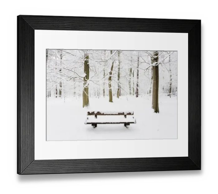 Framed Print : Bench in snow covered deciduous woodland habitat, Brentwood, Essex, England, february Framed Print : Bench in snow covered deciduous woodland habitat, Brentwood, Essex, England, february