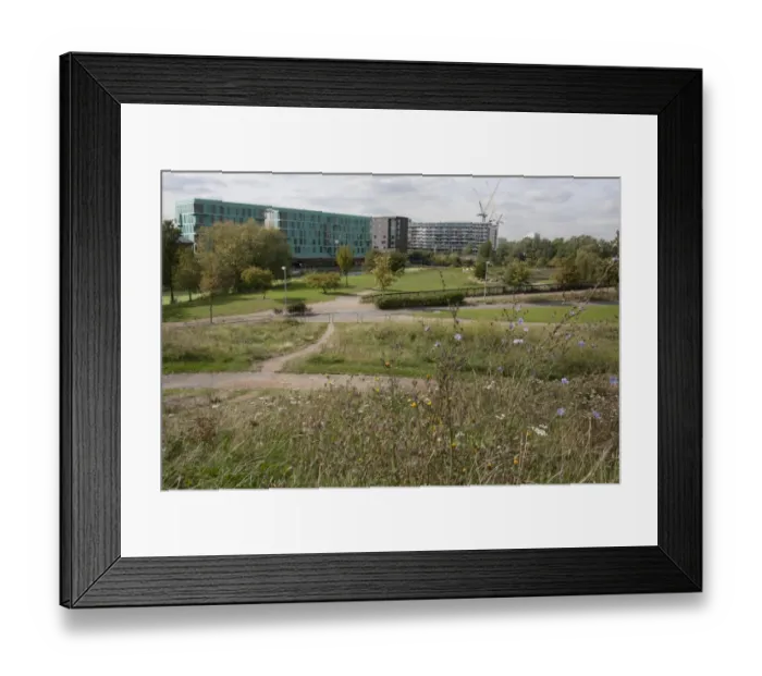 Framed Print : View of ecology park and buildings, The Ecology Park, Mile End Park, Tower Hamlets, London, England, september Framed Print : View of ecology park and buildings, The Ecology Park, Mile End Park, Tower Hamlets, London, England, september