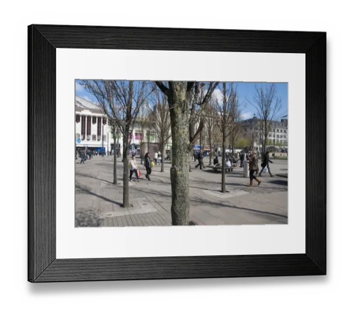 Framed Print : Trees in urban environment, Manchester City Centre, Greater Manchester, England, april Framed Print : Trees in urban environment, Manchester City Centre, Greater Manchester, England, april