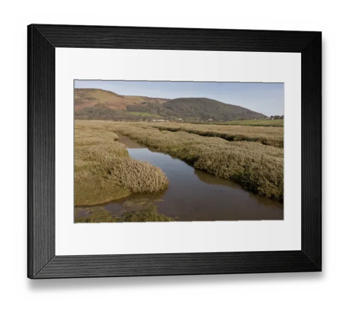 Framed Print : View of saltmarsh habitat developing as shingle ridge has been breached, managed retreat from rising sea levels Framed Print : View of saltmarsh habitat developing as shingle ridge has been breached, managed retreat from rising sea levels