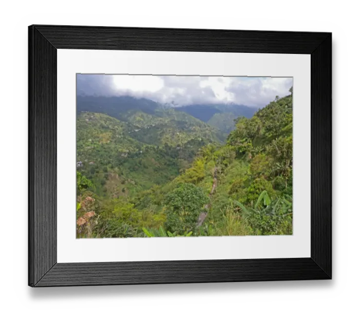 Framed Print : View down over cultivated lower slopes of mountain, Blue Mountains, Jamaica, march Framed Print : View down over cultivated lower slopes of mountain, Blue Mountains, Jamaica, march