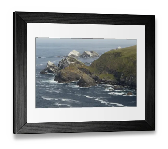 Framed Print : Northern Gannet (Morus bassanus) expanding nesting colony, on clifftops in coastal habitat Framed Print : Northern Gannet (Morus bassanus) expanding nesting colony, on clifftops in coastal habitat