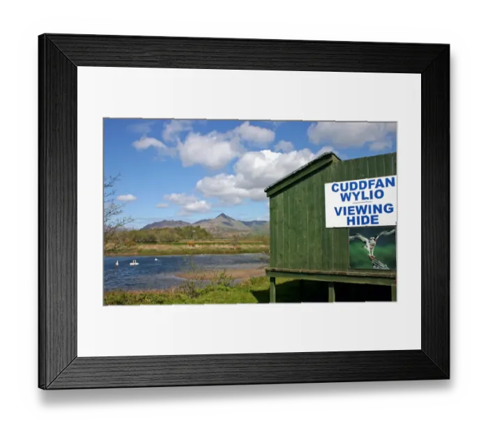 Framed Print : Osprey (Pandion haliaetus) viewing hide at nestsite, with bilingual sign, RSPB Glaslyn Osprey Project, Pont Croesor Framed Print : Osprey (Pandion haliaetus) viewing hide at nestsite, with bilingual sign, RSPB Glaslyn Osprey Project, Pont Croesor