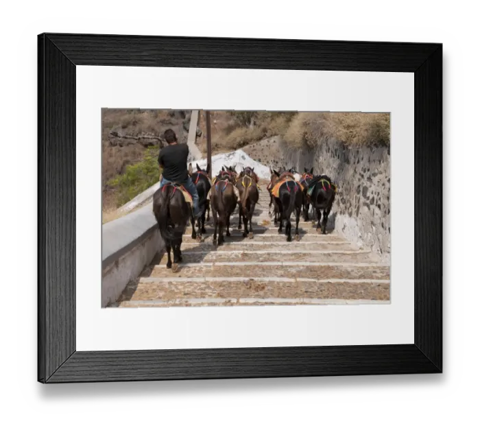 Framed Print : Donkey, herd with handler, walking down steps, Fira, Santorini, Cyclades, Aegean Sea, Greece, September Framed Print : Donkey, herd with handler, walking down steps, Fira, Santorini, Cyclades, Aegean Sea, Greece, September