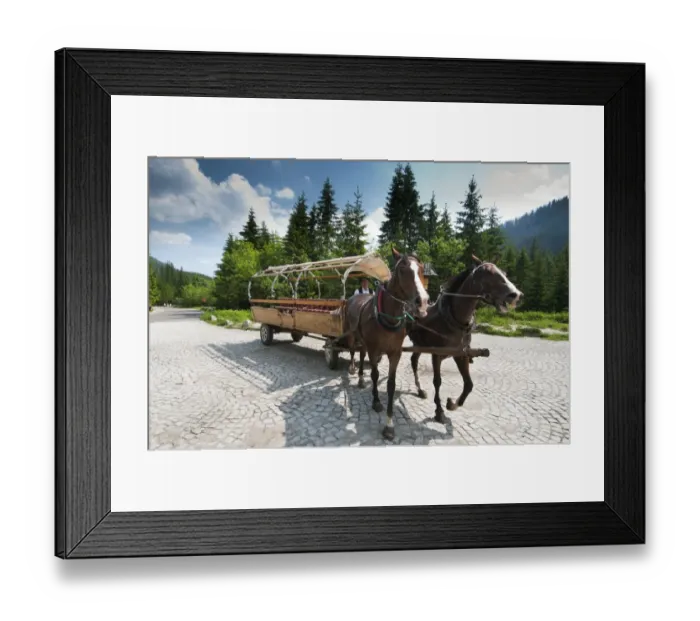 Framed Print : Horses pulling carriage for tourists in mountains, Tatra Mountains, Western Carpathians, Poland, June Framed Print : Horses pulling carriage for tourists in mountains, Tatra Mountains, Western Carpathians, Poland, June