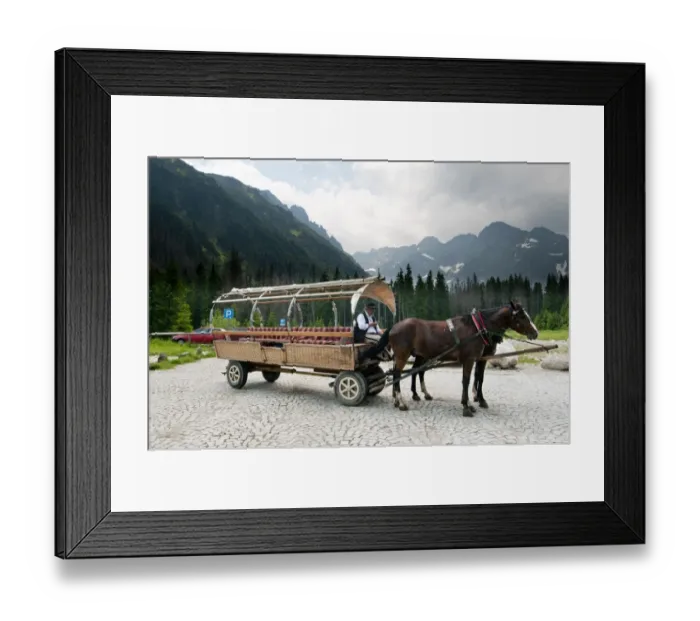Framed Print : Horses pulling carriage for tourists in mountains, Tatra Mountains, Western Carpathians, Poland, June Framed Print : Horses pulling carriage for tourists in mountains, Tatra Mountains, Western Carpathians, Poland, June
