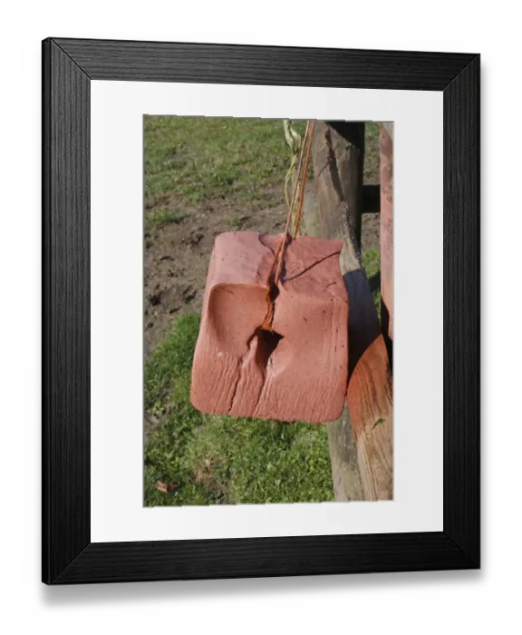 Framed Print : Horse mineral block hanging from fence in paddock, Suffolk, England, October Framed Print : Horse mineral block hanging from fence in paddock, Suffolk, England, October