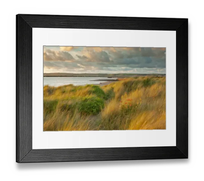 Framed Print : View of sand dunes, beach and coastline at sunset, River Taw, Instow, North Devon, England, August Framed Print : View of sand dunes, beach and coastline at sunset, River Taw, Instow, North Devon, England, August