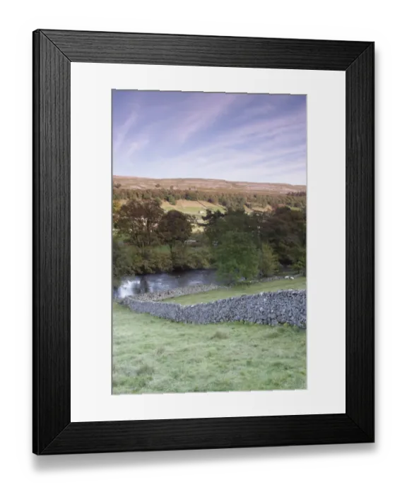 Framed Print : View of drystone walls, river and trees in evening light, River Wharfe, Kettlewell, Wharfedale, Yorkshire Dales N. P Framed Print : View of drystone walls, river and trees in evening light, River Wharfe, Kettlewell, Wharfedale, Yorkshire Dales N. P