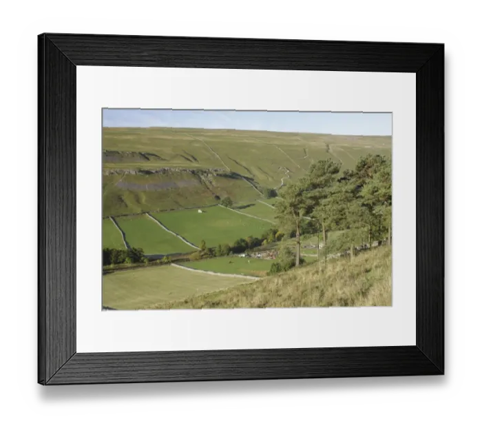 Framed Print : View of conifer trees, farm and drystone walls on hillside, Kettlewell, Wharfedale, Yorkshire Dales N. P Framed Print : View of conifer trees, farm and drystone walls on hillside, Kettlewell, Wharfedale, Yorkshire Dales N. P