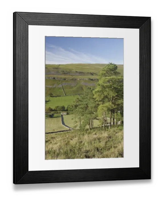 Framed Print : View of conifer trees, stone barn and drystone walls on hillside, Kettlewell, Wharfedale, Yorkshire Dales N. P Framed Print : View of conifer trees, stone barn and drystone walls on hillside, Kettlewell, Wharfedale, Yorkshire Dales N. P
