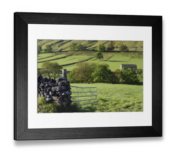 Framed Print : View of drystone walls, gate, stone barn and trees, Kettlewell, Wharfedale, Yorkshire Dales N. P Framed Print : View of drystone walls, gate, stone barn and trees, Kettlewell, Wharfedale, Yorkshire Dales N. P