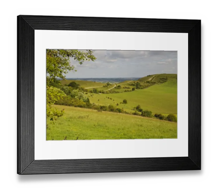 Framed Print : View of downland and footpath, Ridgeway Path, Ivinghoe Beacon, Chiltern Hills, Buckinghamshire, England, June Framed Print : View of downland and footpath, Ridgeway Path, Ivinghoe Beacon, Chiltern Hills, Buckinghamshire, England, June