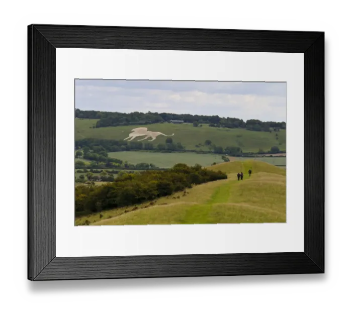 Framed Print : View towards White Lion chalk figure on hillside, with start of Ridgeway long-distance footpath in foreground Framed Print : View towards White Lion chalk figure on hillside, with start of Ridgeway long-distance footpath in foreground