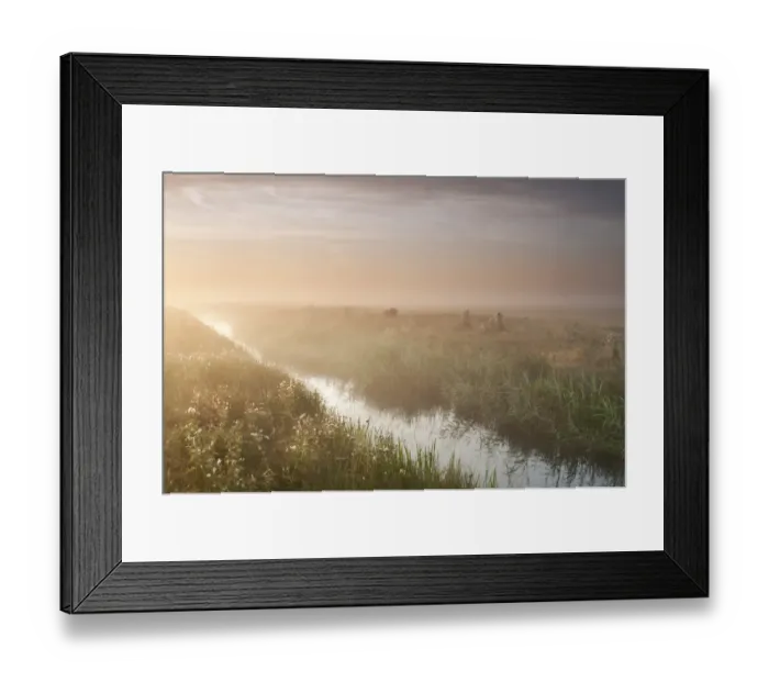 Framed Print : View of ditch in misty coastal grazing marsh habitat at sunrise, Elmley Marshes National Nature Reserve Framed Print : View of ditch in misty coastal grazing marsh habitat at sunrise, Elmley Marshes National Nature Reserve