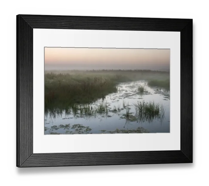 Framed Print : View of ditch in coastal grazing marsh habitat at dawn, Elmley Marshes National Nature Reserve, Isle of Sheppey, Kent Framed Print : View of ditch in coastal grazing marsh habitat at dawn, Elmley Marshes National Nature Reserve, Isle of Sheppey, Kent