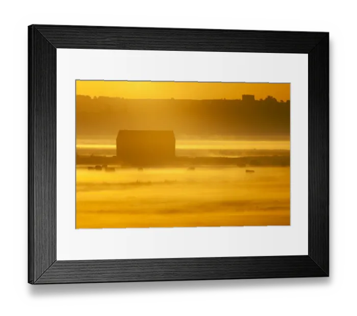 Framed Print : View of barn and cattle on coastal grazing marsh habitat, silhouetted at sunrise Framed Print : View of barn and cattle on coastal grazing marsh habitat, silhouetted at sunrise