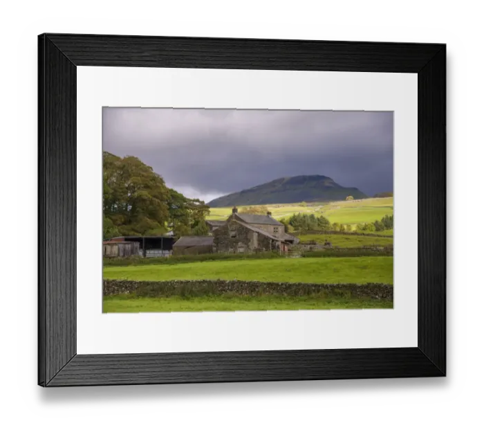 Framed Print : View of drystone walls, pasture and farmhouse, with Peny-y-ghent Hill in background, Horton, Ribblesdale Framed Print : View of drystone walls, pasture and farmhouse, with Peny-y-ghent Hill in background, Horton, Ribblesdale