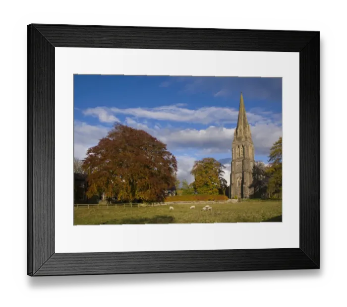 Framed Print : View of trees in autumn colour, sheep grazing in pasture and church, St. Pauls Church, Clitheroe, Lancashire, England Framed Print : View of trees in autumn colour, sheep grazing in pasture and church, St. Pauls Church, Clitheroe, Lancashire, England