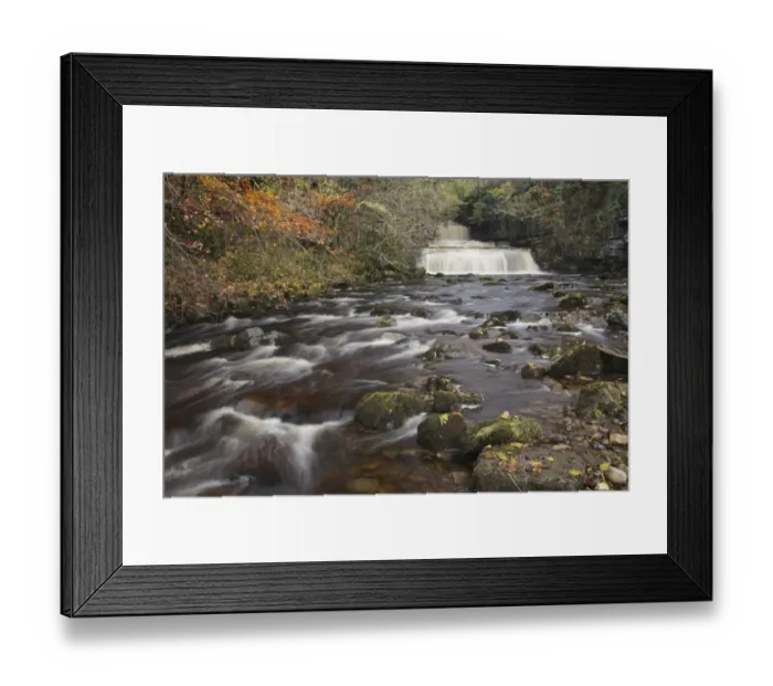 Framed Print : View of waterfall, limestone rocks and autumn leaves, Cotter Force, Cotterdale Beck, Wensleydale, Yorkshire Dales N. P Framed Print : View of waterfall, limestone rocks and autumn leaves, Cotter Force, Cotterdale Beck, Wensleydale, Yorkshire Dales N. P