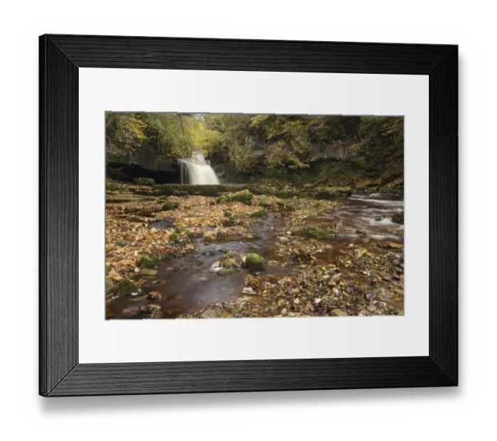 Framed Print : View of waterfall and autumn leaves, Cauldron Falls, Walden Beck, River Ure, West Burton, Wensleydale Framed Print : View of waterfall and autumn leaves, Cauldron Falls, Walden Beck, River Ure, West Burton, Wensleydale