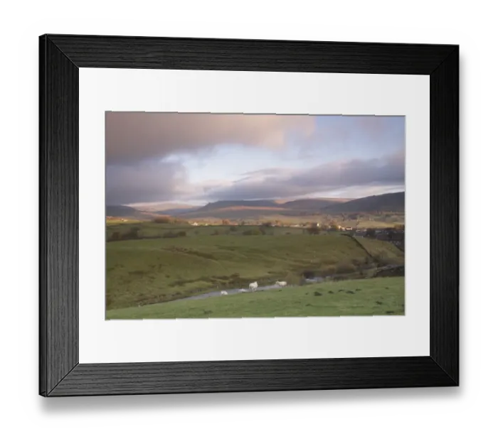 Framed Print : View of stream, pasture, drystone walls and sheep, Gayle, near Hawes, Wensleydale, Yorkshire Dales N. P Framed Print : View of stream, pasture, drystone walls and sheep, Gayle, near Hawes, Wensleydale, Yorkshire Dales N. P