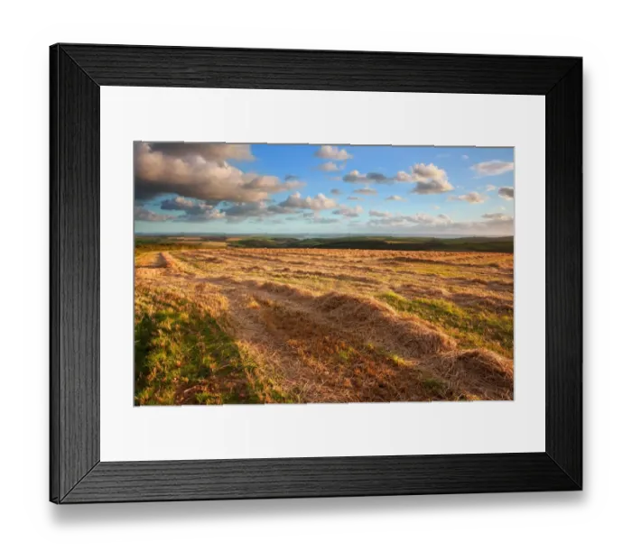 Framed Print : View of farmland with straw on field in late evening sunlight, looking towards Taw and Torridge Rivers and coastline Framed Print : View of farmland with straw on field in late evening sunlight, looking towards Taw and Torridge Rivers and coastline