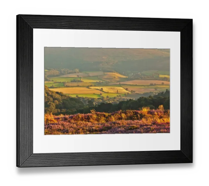 Framed Print : View of flowering heather on moorland overlooking valley with village and church in late evening sunlight Framed Print : View of flowering heather on moorland overlooking valley with village and church in late evening sunlight
