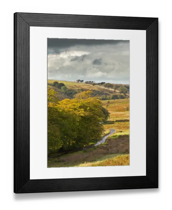 Framed Print : View of river and beech trees in sunlight breaking through rainclouds, looking towards Furzehill Common Framed Print : View of river and beech trees in sunlight breaking through rainclouds, looking towards Furzehill Common