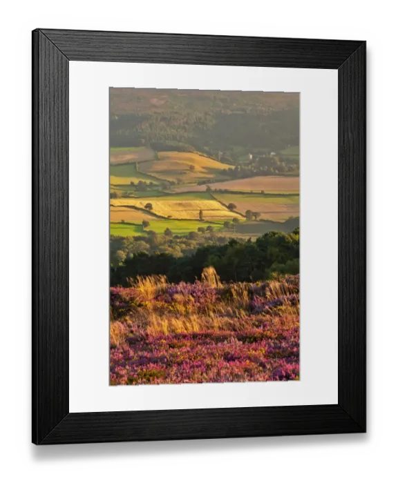 Framed Print : View of flowering heather on moorland overlooking valley with village and church in late evening sunlight