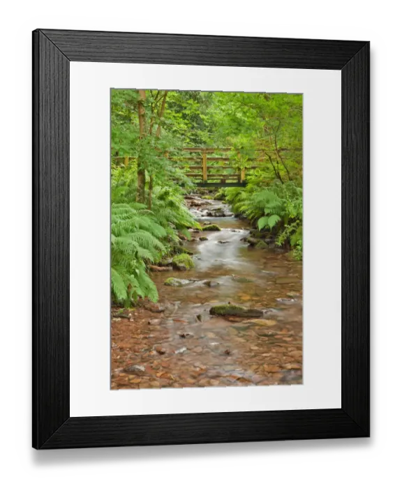 Framed Print : Small footbridge crossing stream in woodland, East Water, East Water Valley