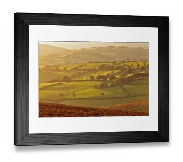 Framed Print : View of pastures, hedgerows and trees on hills in early morning sunlight, Elsworthy Allotment Framed Print : View of pastures, hedgerows and trees on hills in early morning sunlight, Elsworthy Allotment