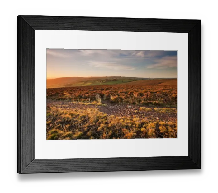 Framed Print : View of long-distance footpath on heather moorland habitat in early morning sunlight