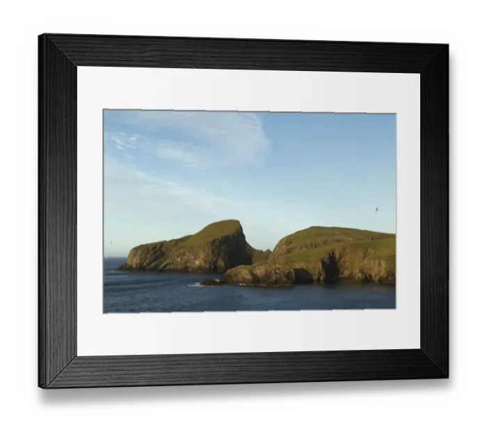 Framed Print : View of rugged coastline with cliffs and seabirds in flight at dawn, Sheeps Rock, Fair Isle, Shetland Islands Framed Print : View of rugged coastline with cliffs and seabirds in flight at dawn, Sheeps Rock, Fair Isle, Shetland Islands