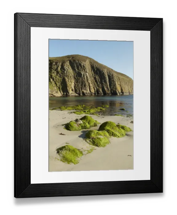 Framed Print : View of beach and cliffs, North Haven Bay, Fair Isle, Shetland Islands, Scotland, July Framed Print : View of beach and cliffs, North Haven Bay, Fair Isle, Shetland Islands, Scotland, July