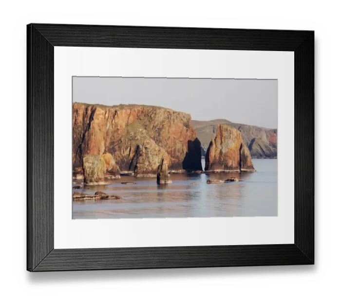 Framed Print : View of sea stacks and cliffs in late afternoon sunlight, Braewick, Mainland, Shetland Islands, Scotland, May