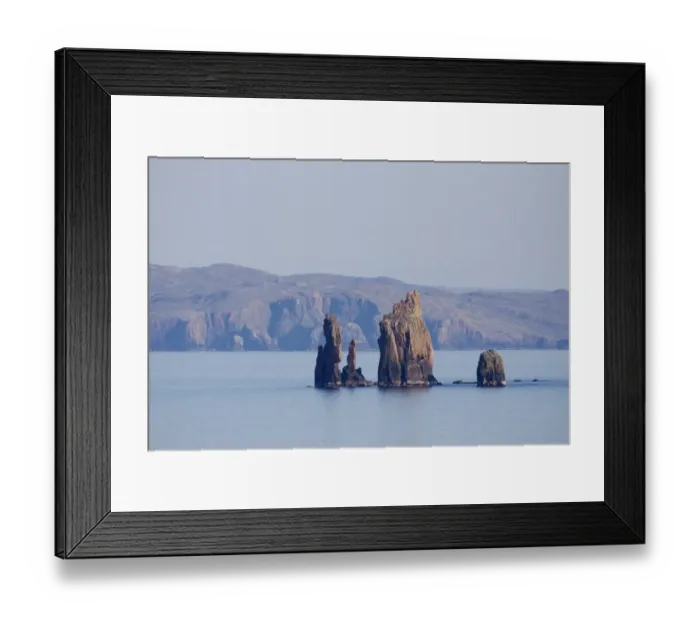 Framed Print : View of sea stacks, The Drongs, Mainland, Shetland Islands, Scotland, May Framed Print : View of sea stacks, The Drongs, Mainland, Shetland Islands, Scotland, May