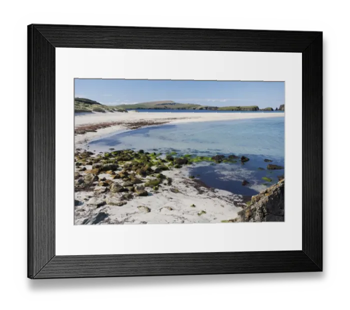Framed Print : View of coastline and sandy beach, Bigton Wick, Mainland, Shetland Islands, Scotland, May Framed Print : View of coastline and sandy beach, Bigton Wick, Mainland, Shetland Islands, Scotland, May