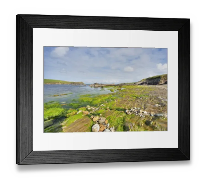 Framed Print : View of rocky shore with seaweed at low tide, Bigton Wick, Mainland, Shetland Islands, Scotland, May
