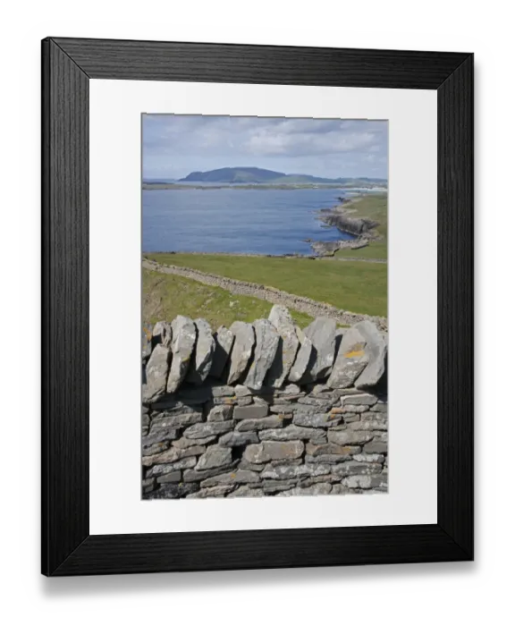 Framed Print : View of drystone walls and coastline, looking west to Scatness, Sumburgh Head, Mainland, Shetland Islands, Scotland Framed Print : View of drystone walls and coastline, looking west to Scatness, Sumburgh Head, Mainland, Shetland Islands, Scotland