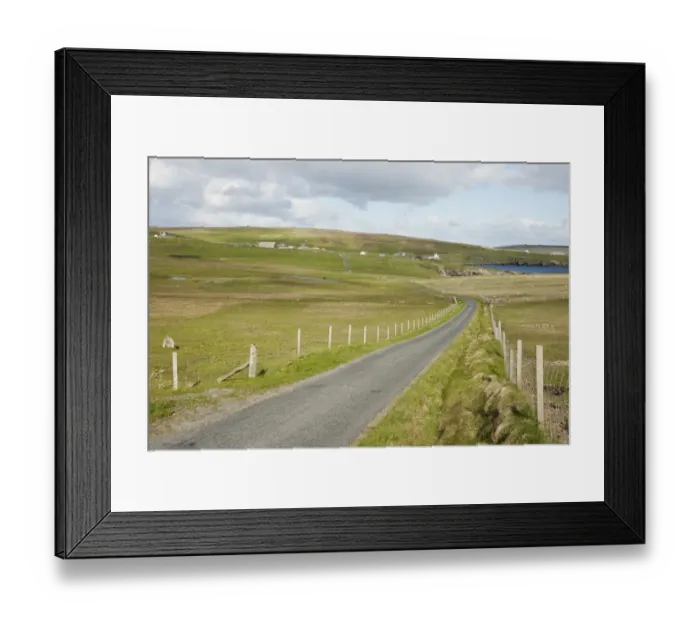 Framed Print : Single track road through coastal pasture, Fetlar, Shetland Islands, Scotland, June