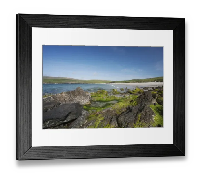 Framed Print : View of rocky beach, Lunda Wick Bay, Unst, Shetland Islands, Scotland, June