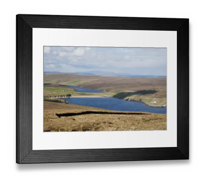 Framed Print : View of coastline, looking across Burra Firth from Hermaness Hill, Unst, Shetland Islands, Scotland, June Framed Print : View of coastline, looking across Burra Firth from Hermaness Hill, Unst, Shetland Islands, Scotland, June