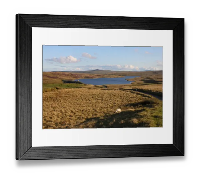 Framed Print : View of moorland and full reservoir, Llyn Aled, Denbigh Moors, North Wales, august Framed Print : View of moorland and full reservoir, Llyn Aled, Denbigh Moors, North Wales, august
