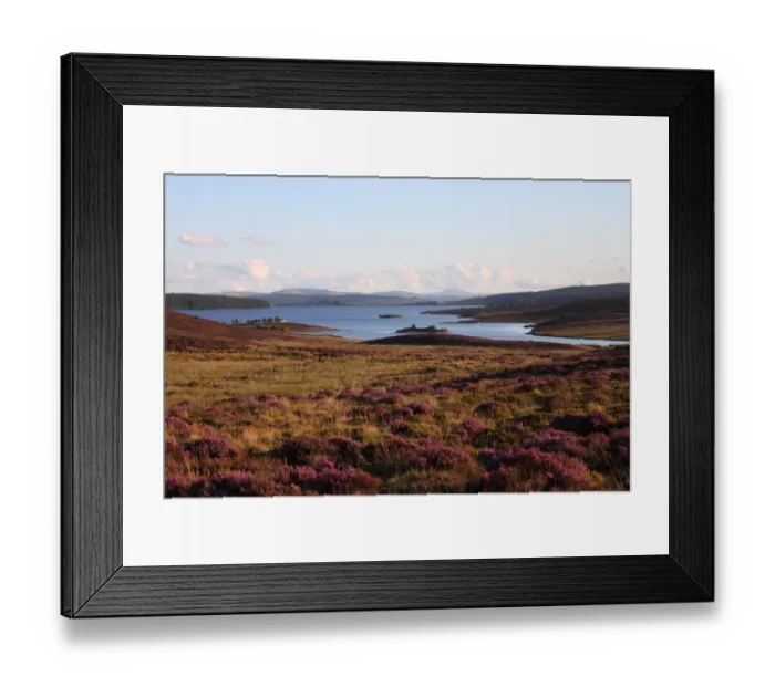 Framed Print : View of moorland and full reservoir, Llyn Brenig, Denbigh Moors, North Wales, august