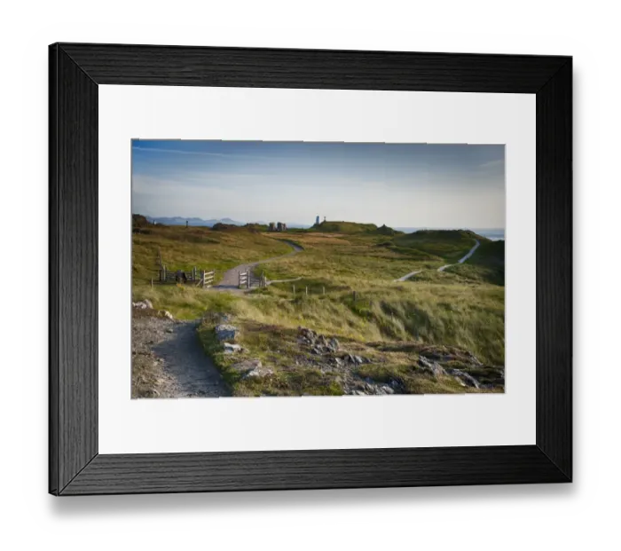 Framed Print : View of path and coastal habitat on tidal island, Llanddwyn Island, Newborough Warren National Nature Reserve Framed Print : View of path and coastal habitat on tidal island, Llanddwyn Island, Newborough Warren National Nature Reserve