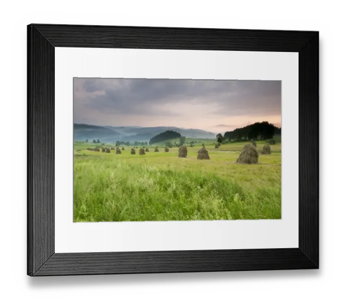 Framed Print : Hay ricks in montane meadow at sunset, Tatra Mountains, Western Carpathians, Poland, June Framed Print : Hay ricks in montane meadow at sunset, Tatra Mountains, Western Carpathians, Poland, June