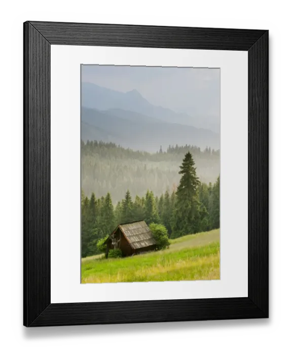 Framed Print : View over meadow, barn and montane coniferous forest habitat at sunset, Tatra Mountains, Western Carpathians, Poland Framed Print : View over meadow, barn and montane coniferous forest habitat at sunset, Tatra Mountains, Western Carpathians, Poland