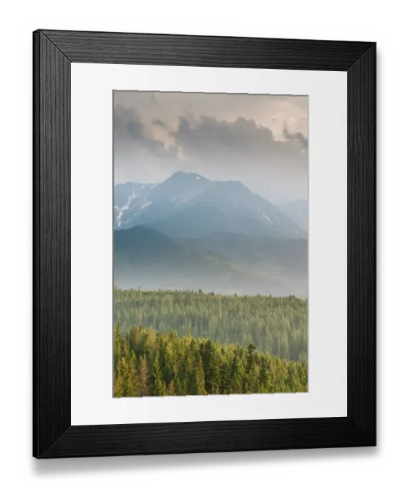 Framed Print : View over montane coniferous forest habitat at sunset, Tatra Mountains, Western Carpathians, Poland, June Framed Print : View over montane coniferous forest habitat at sunset, Tatra Mountains, Western Carpathians, Poland, June